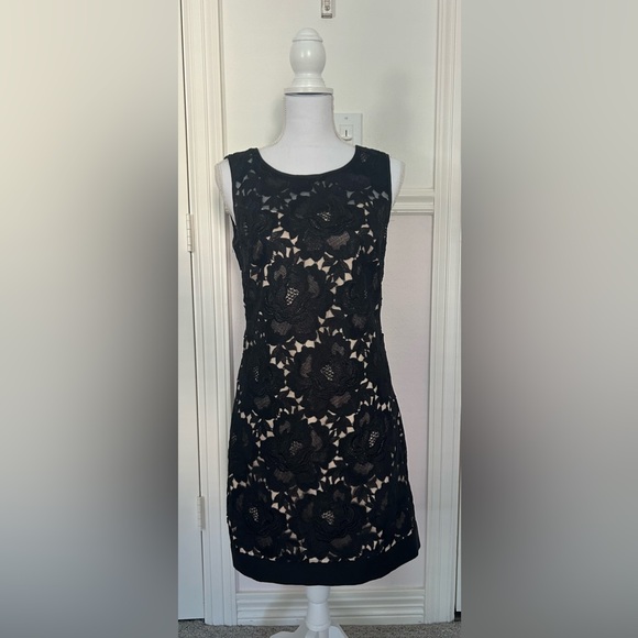 White House Black Market Lace Dress - Picture 2 of 7
